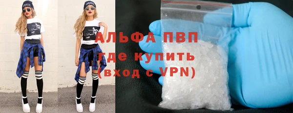 стаф Беломорск