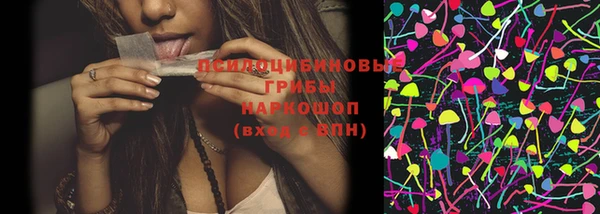 круглые Белокуриха